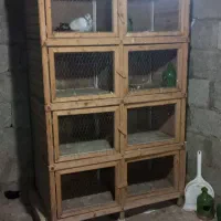 جفتگاه کبوتر فروشی