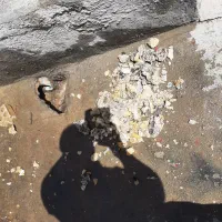 لوله باز کنی الوند|خدمات پیشه و مهارت|اسدآباد, |دیوار