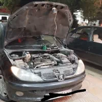 تنظیم موتور 206|خدمات موتور و ماشین|پاکدشت, پاکدشت (مامازند)|دیوار