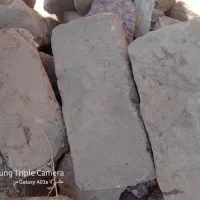 اجاره گری  درجه یک