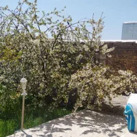 اجاره-خونه-باغ-یا-خانه-ویلایی