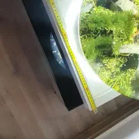 تنگ گیاهی همراه با ماهی|ماهی|تبریز, |دیوار