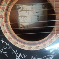 گیتار پارسی M5|گیتار، بیس، امپلیفایر|تهران, پرستار|دیوار