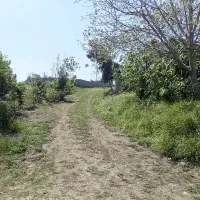 زمین مسکونی