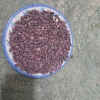 فروش لوبیا قرمزچیتی و گردو