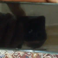 سیم کارت بیلبوردی بیزینسی هزاری ۶۰۰۷