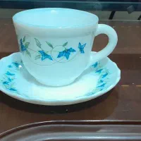 فنجون و نعلبکی