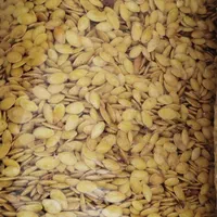 گردو بلغاری تخمه کدو تخمه افتابگردان|خوردنی و آشامیدنی|اصفهان, هفتون|دیوار