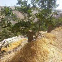 فروش زمین ۱۶۰ متری در کن