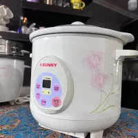 پلوپز و آرام پز|اجاق گاز و لوازم برقی پخت‌وپز|یزد, |دیوار