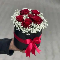 گل رز هلندی دیزاین باکس|گل و گیاه طبیعی|شیراز, بعثت|دیوار