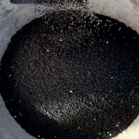 فروش بذر پیاز قرمز مایل به بنفش قیمت۱.۳۰۰.۰۰۰