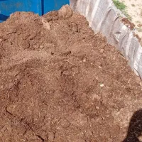 کود گوسفندی خشک