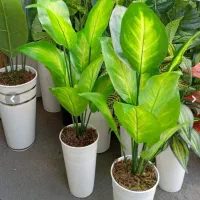 گل مصنوعی دیفن باخیاس
