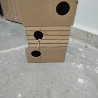 لانه عروس هلندی وبرزیلی|لوازم جانبی حیوانات|قروه, |دیوار