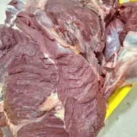 پخش گوشت تلیسه و ماده گاو درجه یک
