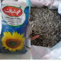 تخمه خام خوشبخت فله تخمه شور خوشبخت رب تاید