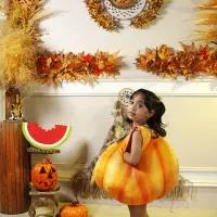 عکاسی آتلیه یلدایی با تن پوش انار و کدوتنبل|خدمات پذیرایی، مراسم|اردبیل, |دیوار