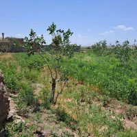 زمین مناسب برای خانه باغ