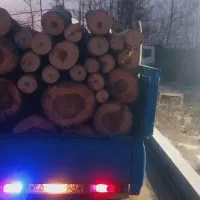 هرس،خاکورزی تمیزکاری باغچه،قطع وخرید انواع درختان
