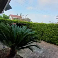 ۴۰۰متر ویلا دوبلکس در منطقه توریستی  سیاهرود|فروش خانه و ویلا|رویان, |دیوار