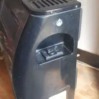 بخاری در حد نوع