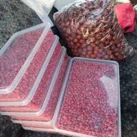 زرشک تازه وعناب