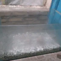 آکواریم ماهی