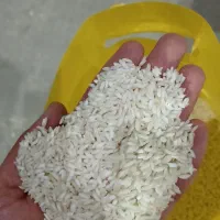 برنج عنبربو