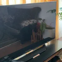 تلویزیون ۵۰اینچ