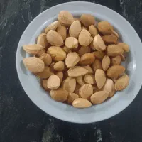 بادام کوهسرخ سنگی