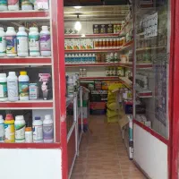 مغازه ۱۰ متری کوچه عظیمی سند آماده