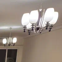 ۲ عدد لوستر ۶ شاخه