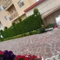باغبانی و کارواش حیاط استخر