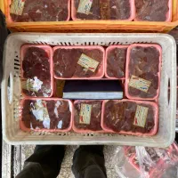 جگر و سنگدون گرم سرخ درجه یک عمده و خرده