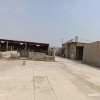 فروش دامداری درامیدیه|فروش دفتر صنعتی، کشاورزی، تجاری|اهواز, نیوساید|دیوار