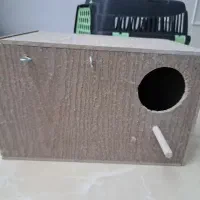 لونه پرنده