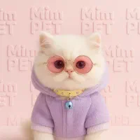 پاییزه|لوازم جانبی حیوانات|رشت, پل تالشان|دیوار