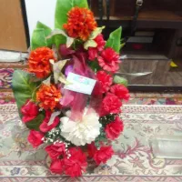 گل درحدنوبه فروش می رسد