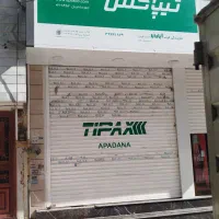 راننده همراه با ماشین