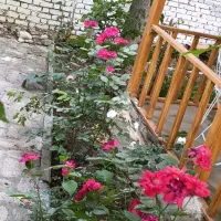 استخدام نیروی نگهبانی و خدماتی و باغبانی