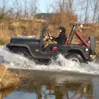 جیپ سواری در سواحل رامسر|تور و چارتر|رامسر, |دیوار