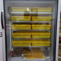 دستگاه جوجه کشی ۴۲۰ تایی بلدرچین دماوند