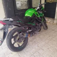 از دم قسط مگلی