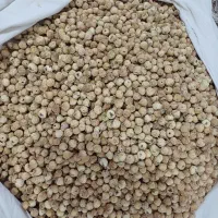 خشکبار