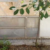 درب آهنی سالم