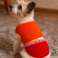 فروش تک و عمده لباس حیوانات|لوازم جانبی حیوانات|تهران, زعفرانیه|دیوار