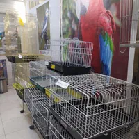 ظرف دستشویی و لوازم نگهداری خرگوش|لوازم جانبی حیوانات|تبریز, |دیوار