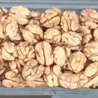 گردو پوست کاغذی امسال