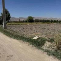 زمین کشاورزی جهت همکاری|اجارهٔ دفتر صنعتی، کشاورزی، تجاری|شیراز, کودیان|دیوار